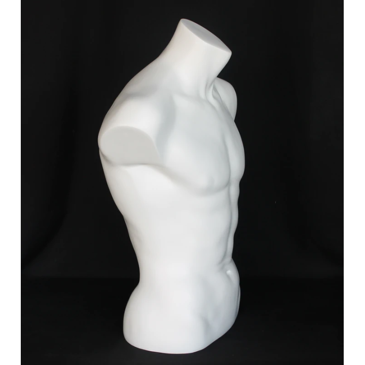MT15-WT - 27 in Full Round Male Torso Form mannequin Display